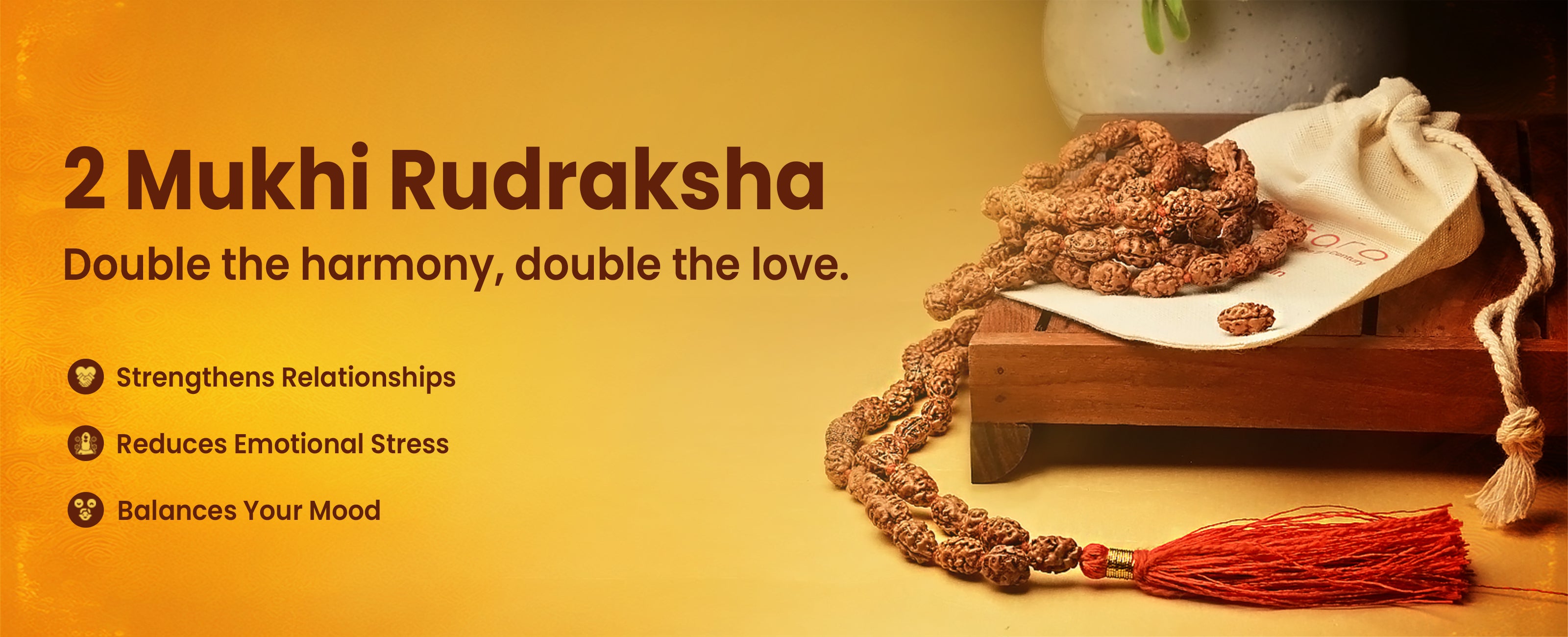 2 Mukhi Rudraksha Collection