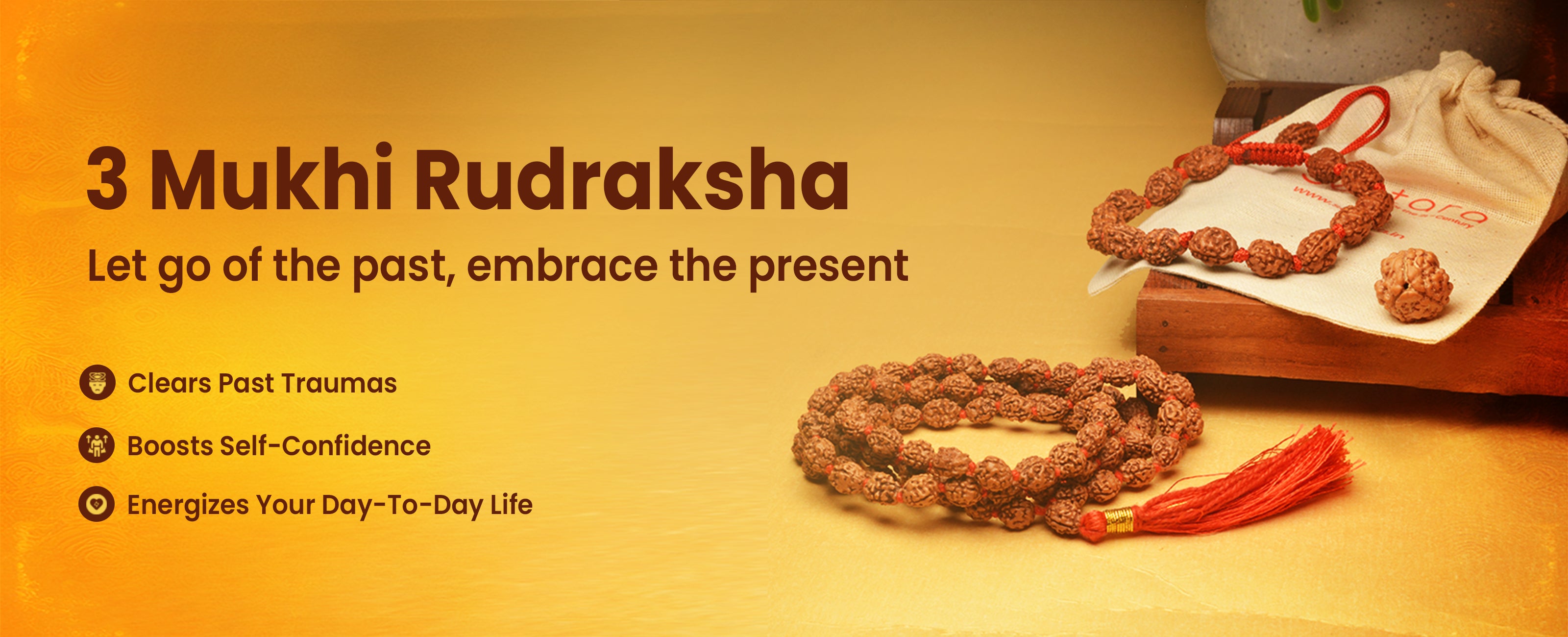 3 Mukhi Rudraksha Collection