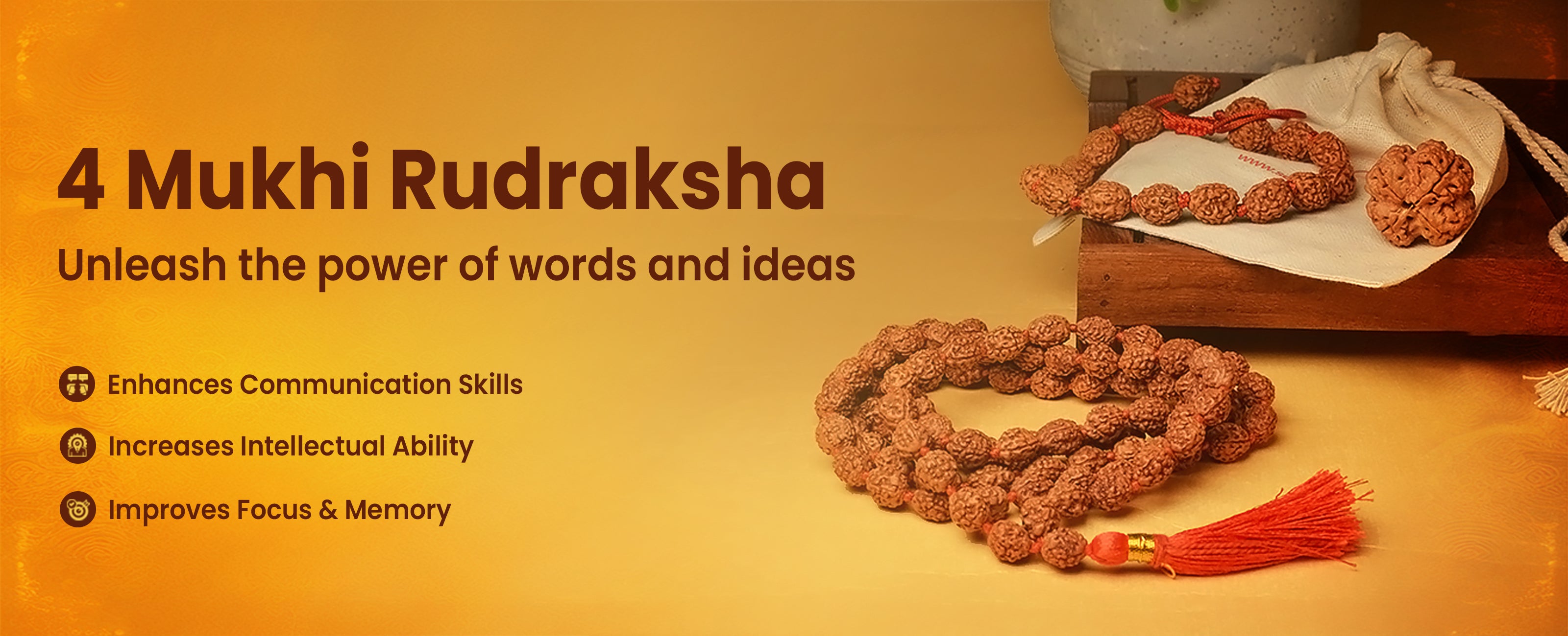 4 Mukhi Rudraksha Collection