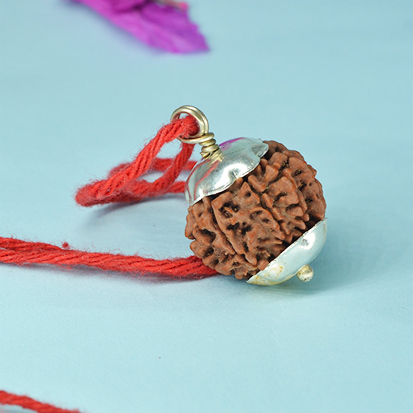 8 Mukhi Rudraksha Dana (Nepali)