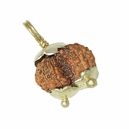 Gauri Shankar Rudraksha (Nepali)