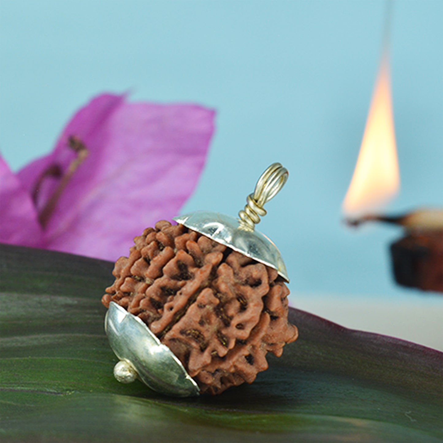 8 Mukhi Rudraksha Dana (Nepali)