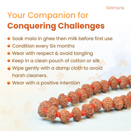 9 Mukhi Rudraksha Mala (Indonesian)