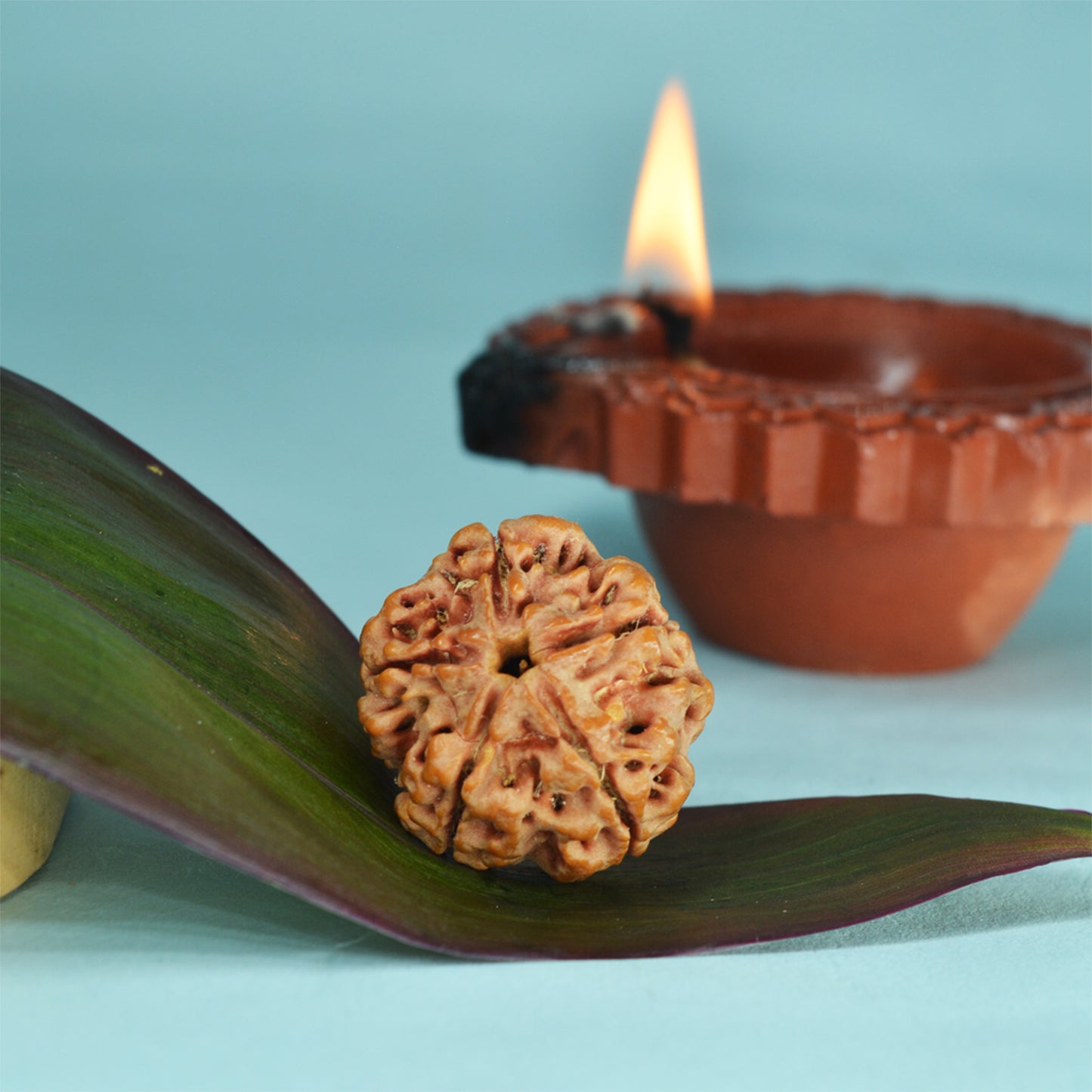 5 Mukhi Rudraksha Pendant (Nepali)