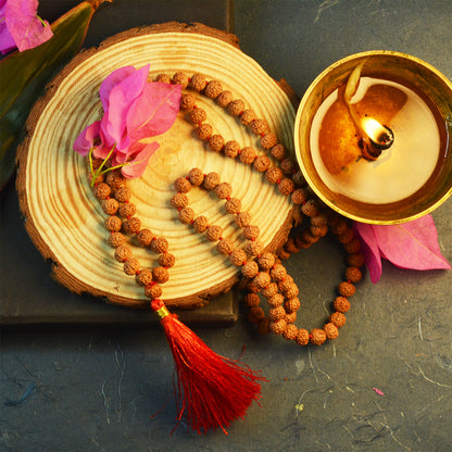 8 Mukhi Rudraksha Mala (Indonesian)