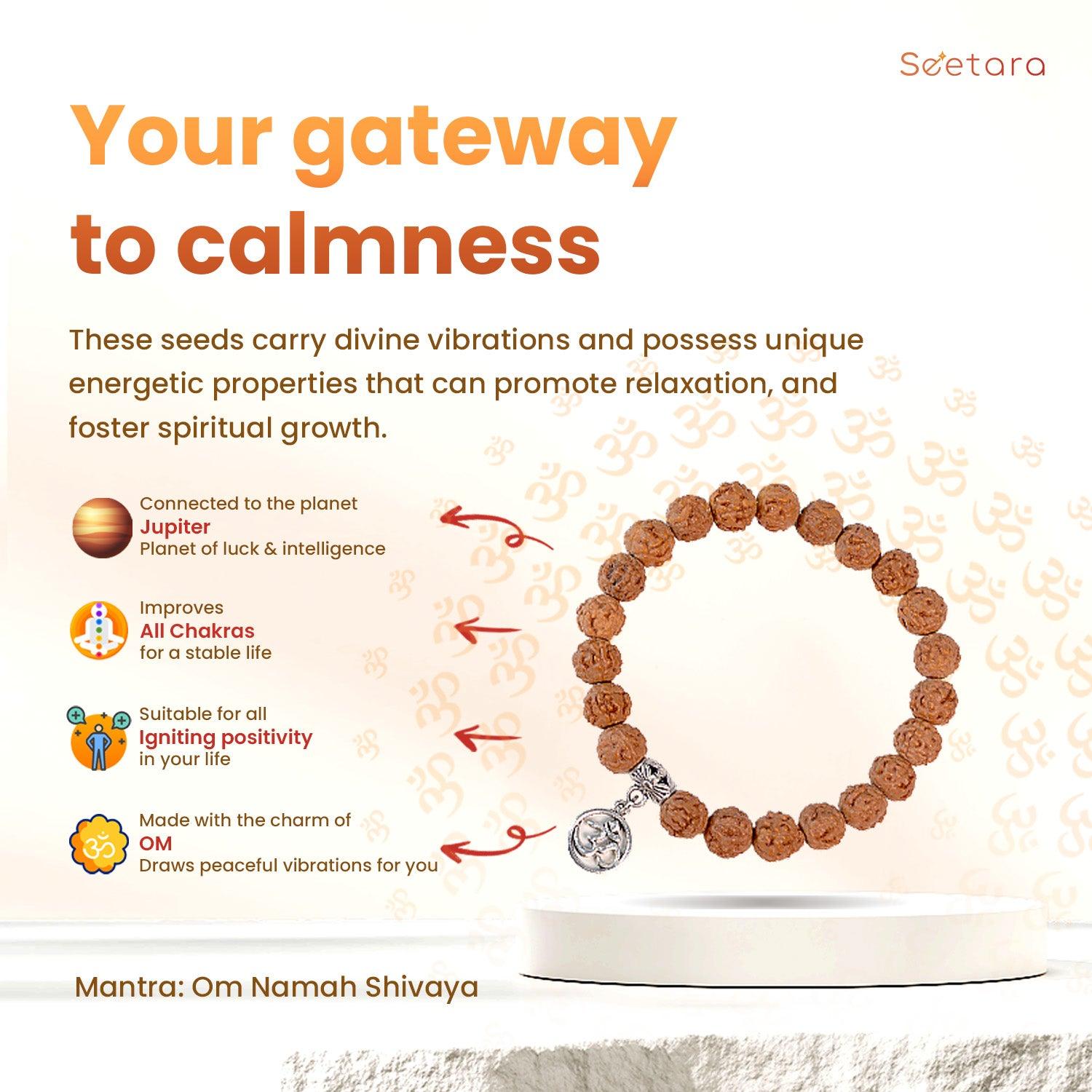 5 Mukhi Rudraksha Energy Healing Bracelet with Om Charm - Seetara