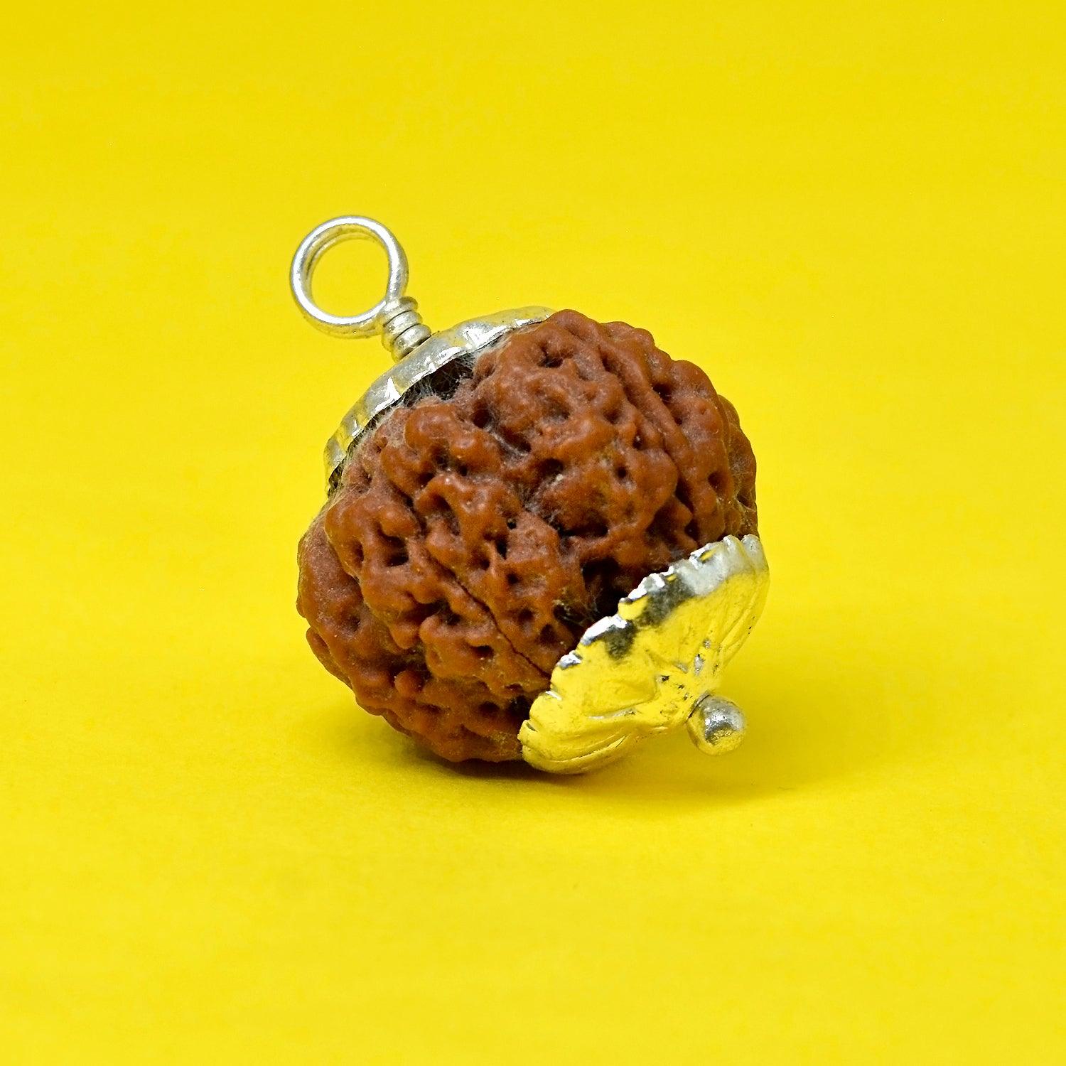 5 Mukhi Rudraksha Energy Healing Pendant - Seetara