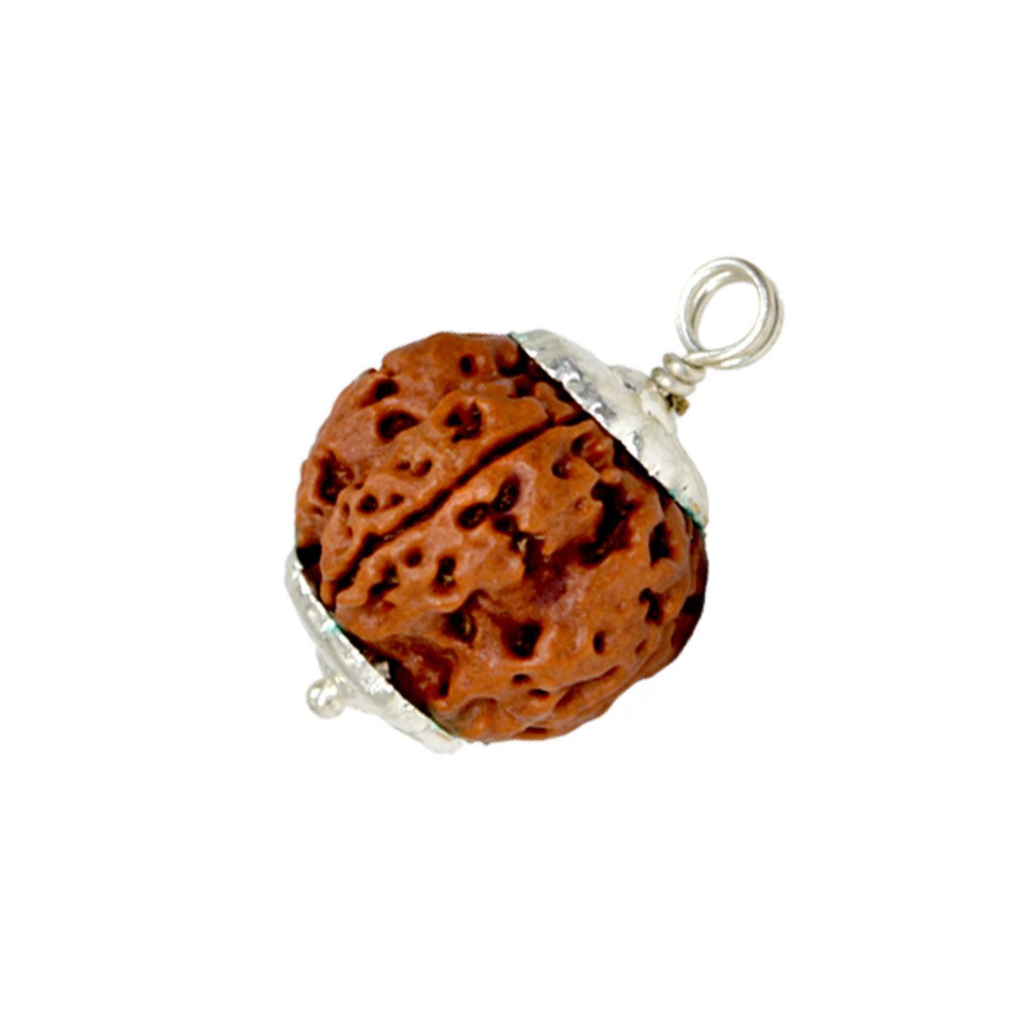 5 Mukhi Rudraksha Energy Healing Pendant - Seetara