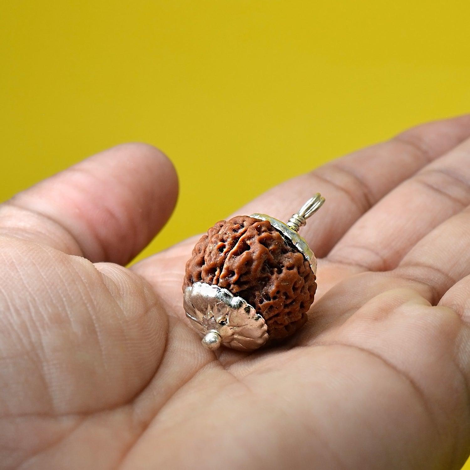 5 Mukhi Rudraksha Energy Healing Pendant - Seetara