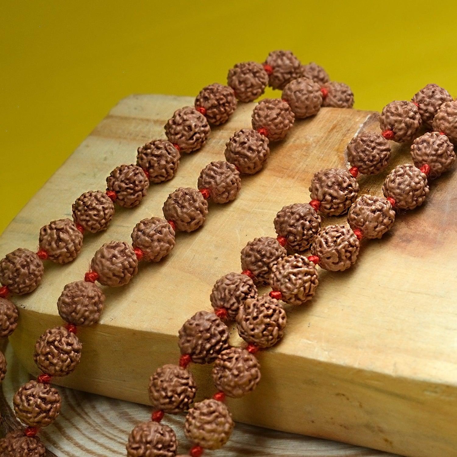 Mukhi Rudraksha Mala – Spiritual Growth, Focus Holistic