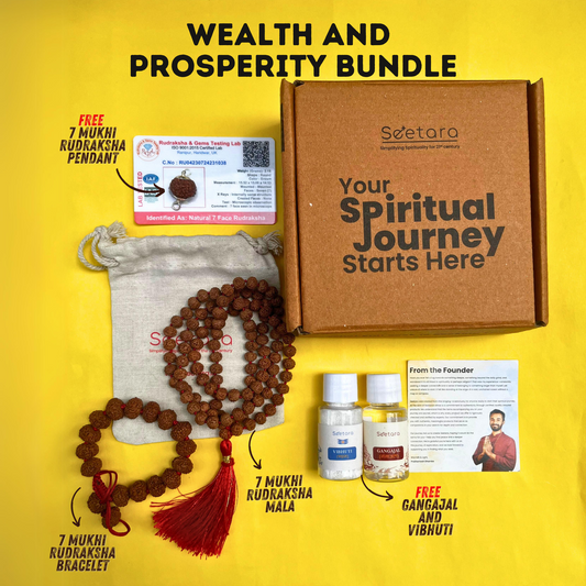 Wealth And Prosperity Bundle | Free 7 Mukhi Rudraksha Dana