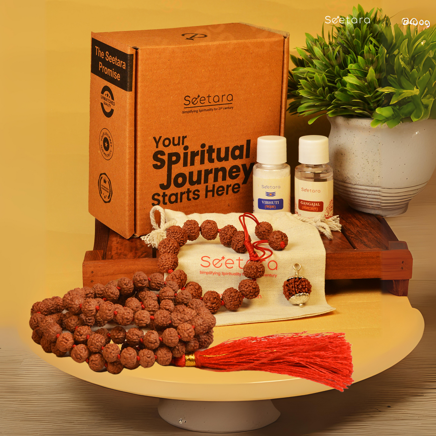 Wealth And Prosperity Bundle | Free 7 Mukhi Rudraksha Dana