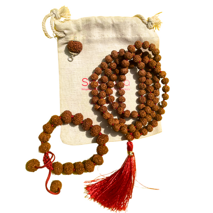 Wealth And Prosperity Bundle | Free 7 Mukhi Rudraksha Dana