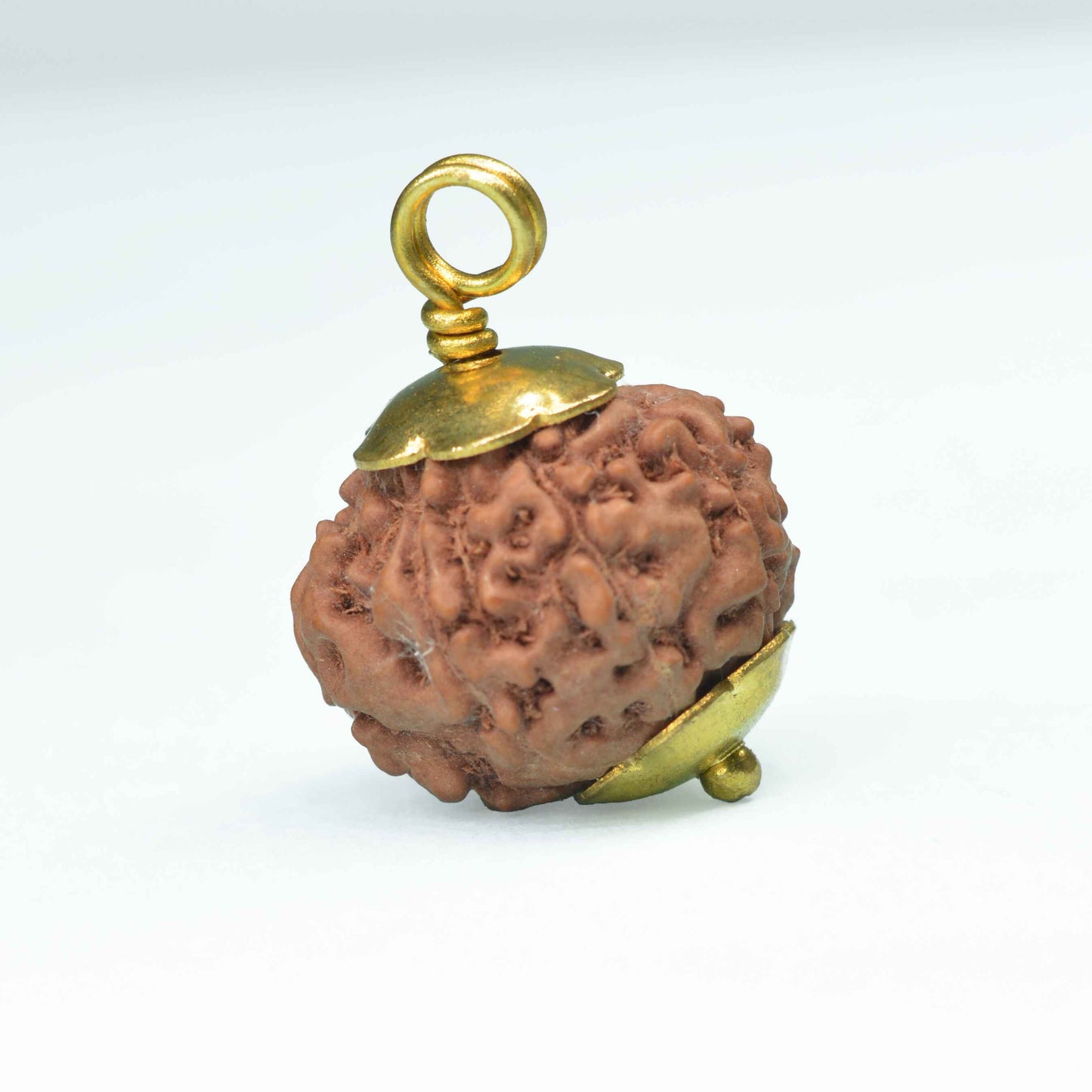 8 Mukhi Rudraksha (Indonesian)