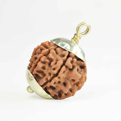 8 Mukhi Rudraksha Dana (Nepali)