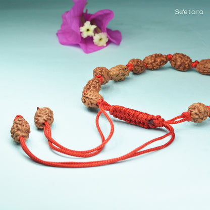 Seetara's 2 Mukhi Rudraksha Bracelet (Indonesian)