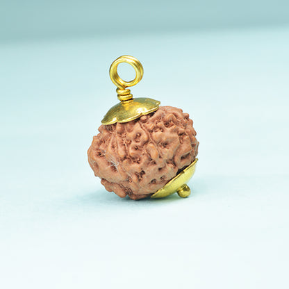 8 Mukhi Rudraksha (Indonesian)