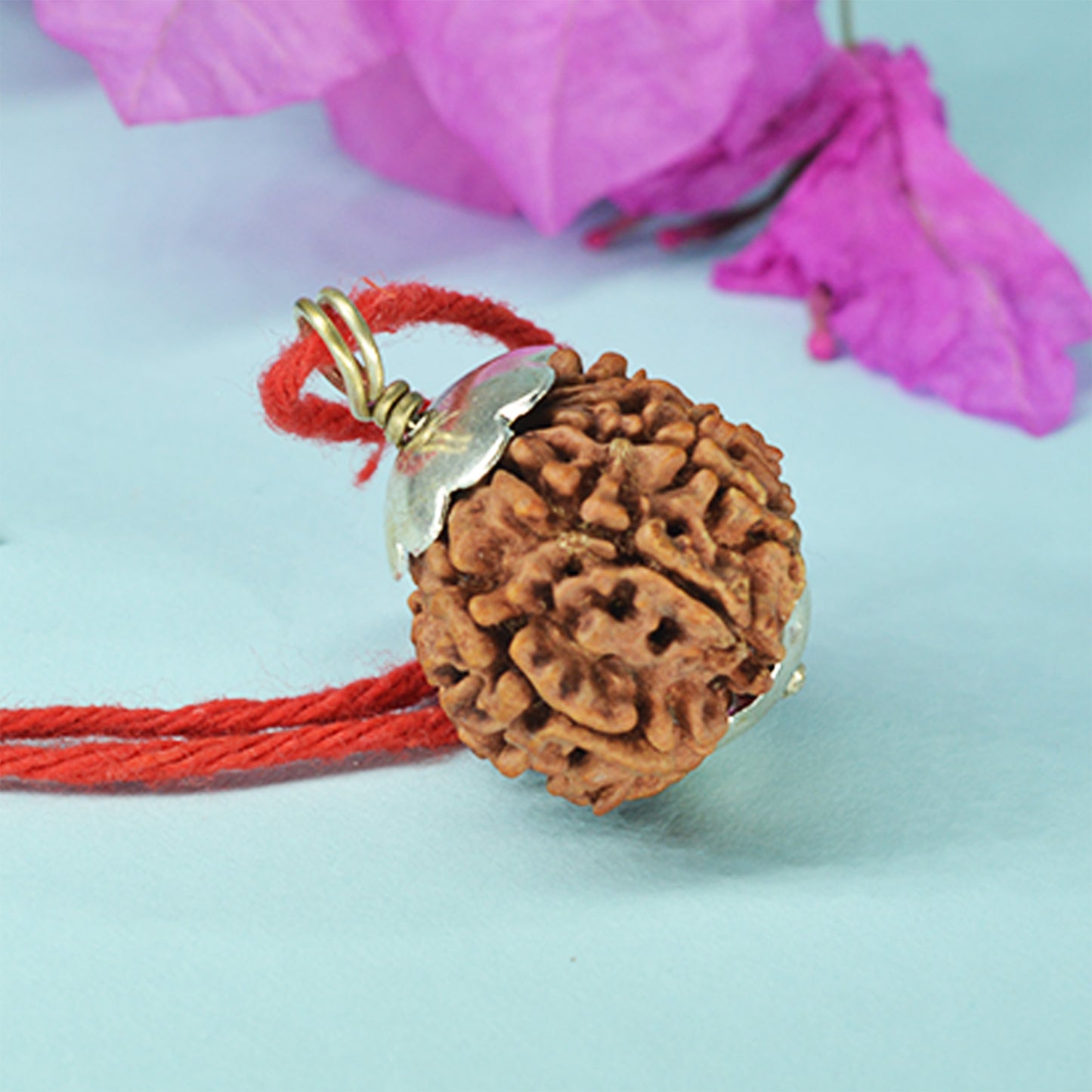 12 Mukhi Rudraksha Dana (Nepali)