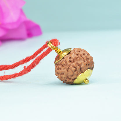 8 Mukhi Rudraksha (Indonesian)