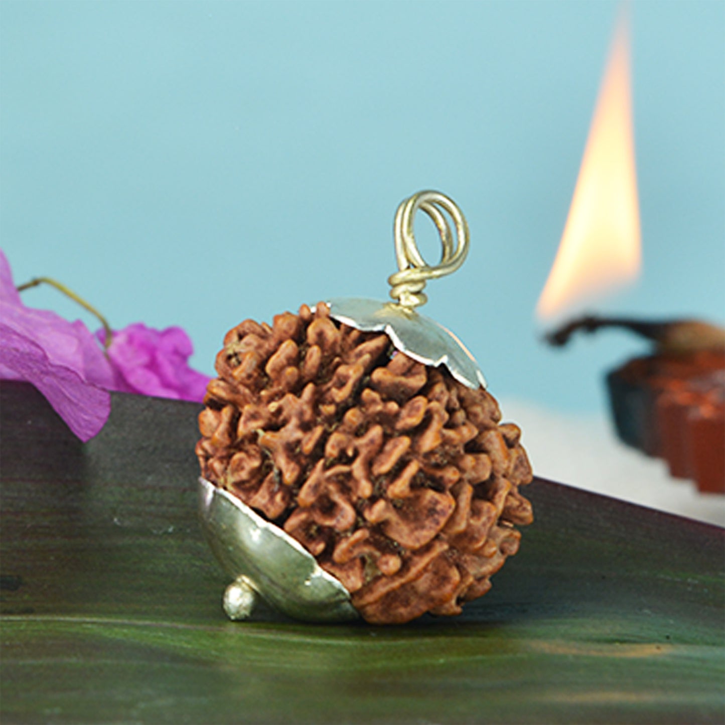 12 Mukhi Rudraksha Dana (Nepali)