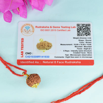 8 Mukhi Rudraksha (Indonesian)