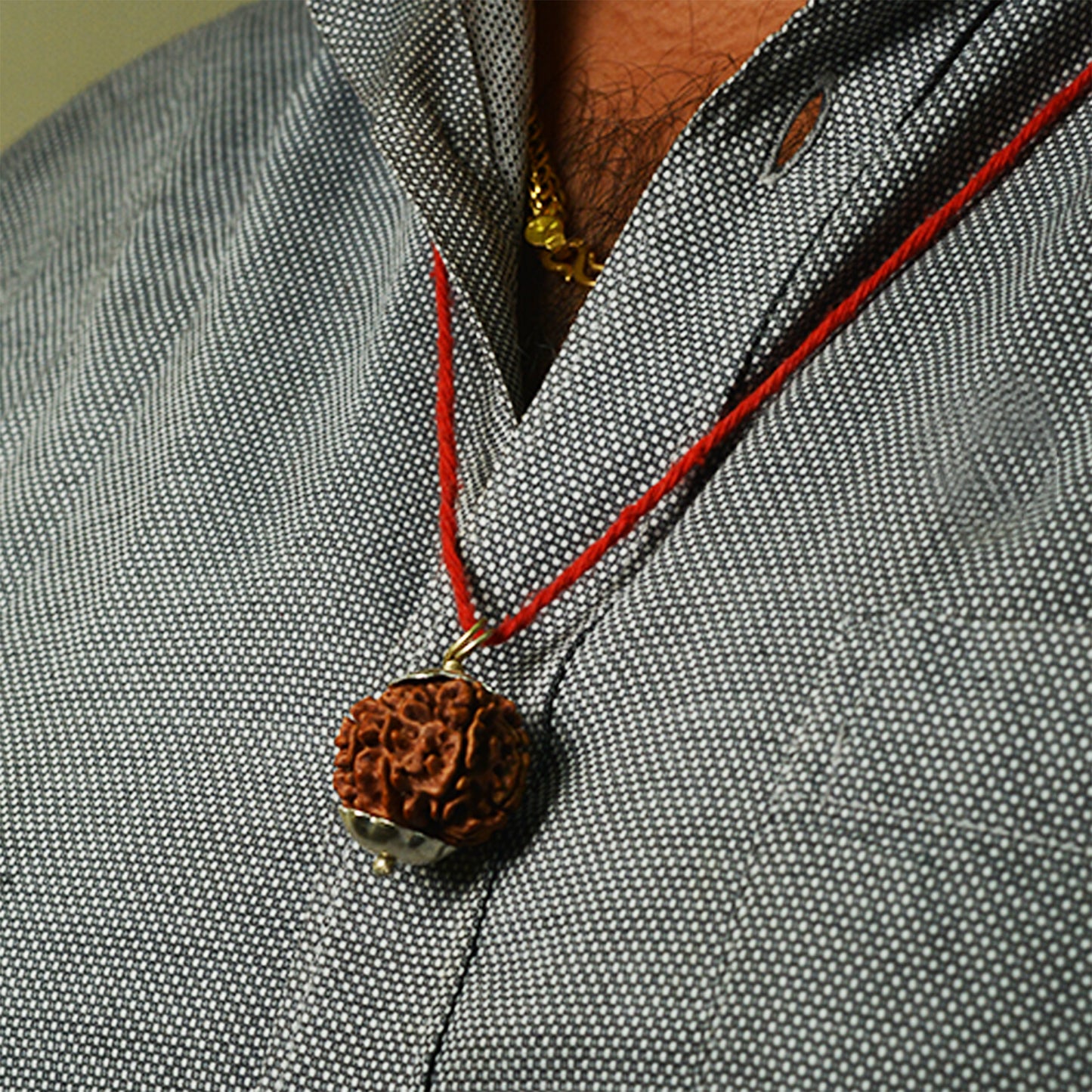 12 Mukhi Rudraksha Dana (Nepali)